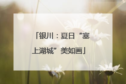 银川：夏日“塞上湖城”美如画