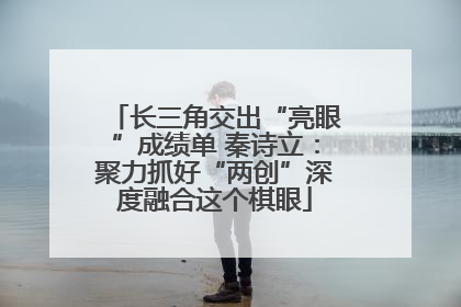 长三角交出“亮眼”成绩单 秦诗立：聚力抓好“两创”深度融合这个棋眼