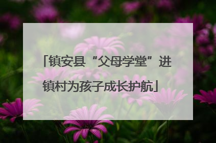 镇安县“父母学堂”进镇村为孩子成长护航