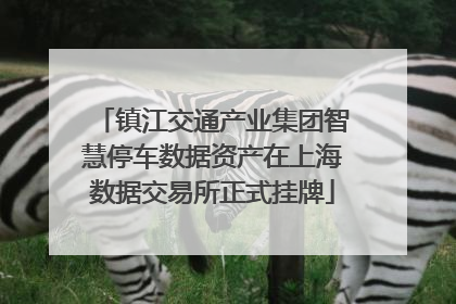 镇江交通产业集团智慧停车数据资产在上海数据交易所正式挂牌