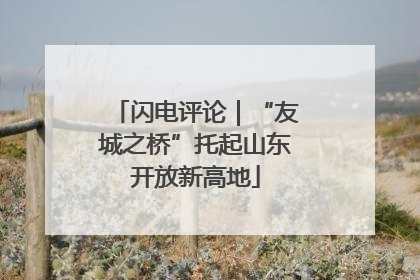 闪电评论｜“友城之桥”托起山东开放新高地