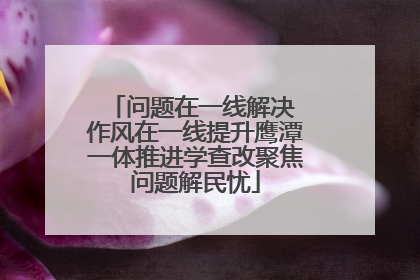 问题在一线解决 作风在一线提升鹰潭一体推进学查改聚焦问题解民忧