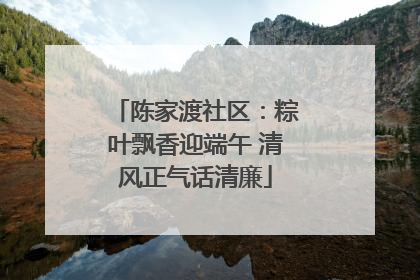 陈家渡社区：粽叶飘香迎端午 清风正气话清廉