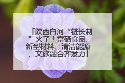 陕西白河“链长制”火了！富硒食品、新型材料、清洁能源、文旅融合齐发力