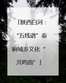陕西白河：“五线谱”奏响城乡文化“共鸣曲”