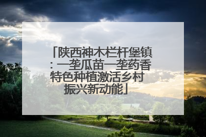 陕西神木栏杆堡镇：一垄瓜苗一垄药香 特色种植激活乡村振兴新动能