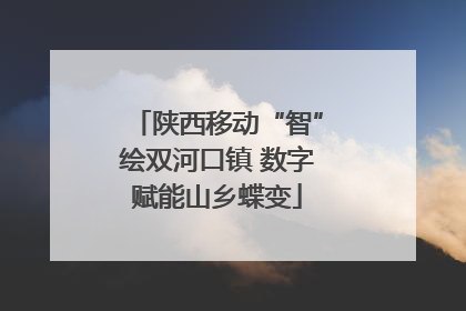 陕西移动“智”绘双河口镇 数字赋能山乡蝶变