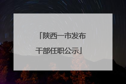 陕西一市发布干部任职公示