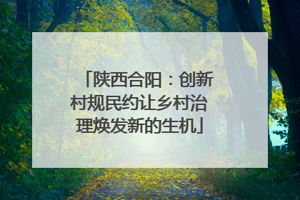 陕西合阳：创新村规民约让乡村治理焕发新的生机