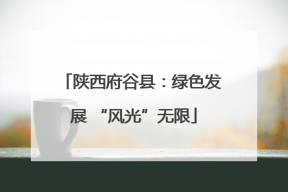 陕西府谷县：绿色发展 “风光”无限