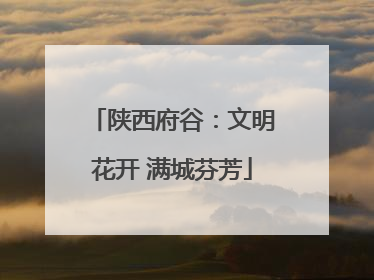陕西府谷：文明花开 满城芬芳