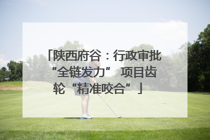 陕西府谷：行政审批“全链发力” 项目齿轮“精准咬合”