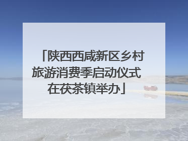 陕西西咸新区乡村旅游消费季启动仪式在茯茶镇举办