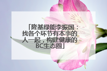 隆基绿能李振国：找各个环节有本事的人一起，构建健康的BC生态圈
