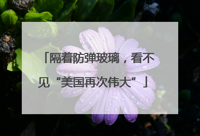 隔着防弹玻璃，看不见“美国再次伟大”