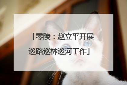 零陵：赵立平开展巡路巡林巡河工作