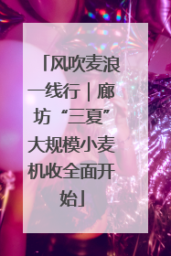 风吹麦浪一线行｜廊坊“三夏”大规模小麦机收全面开始