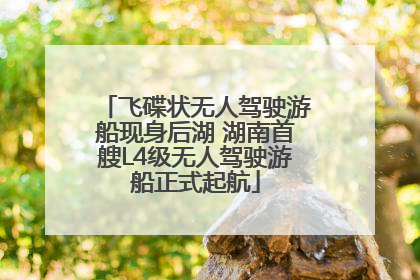 飞碟状无人驾驶游船现身后湖 湖南首艘L4级无人驾驶游船正式起航