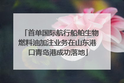 首单国际航行船舶生物燃料油加注业务在山东港口青岛港成功落地