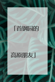首钢园的高原朋友