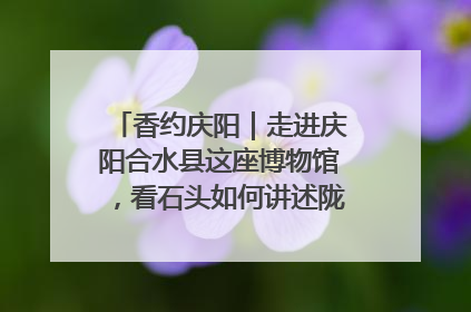 香约庆阳｜走进庆阳合水县这座博物馆，看石头如何讲述陇东千年历史
