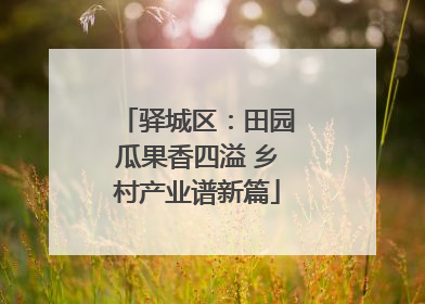 驿城区：田园瓜果香四溢 乡村产业谱新篇
