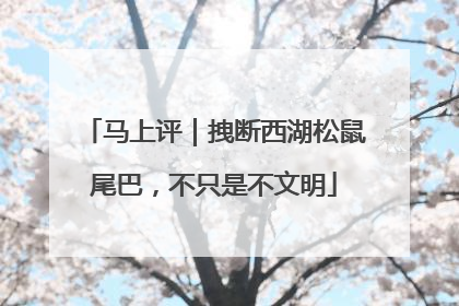 马上评｜拽断西湖松鼠尾巴，不只是不文明