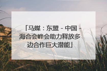 马媒：东盟－中国－海合会峰会助力释放多边合作巨大潜能
