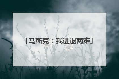 马斯克：我进退两难