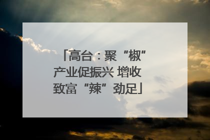高台：聚“椒”产业促振兴 增收致富“辣”劲足