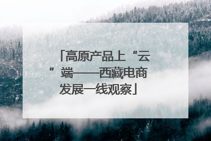 高原产品上“云”端——西藏电商发展一线观察