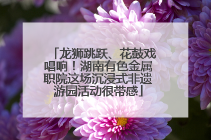 龙狮跳跃、花鼓戏唱响！湖南有色金属职院这场沉浸式非遗游园活动很带感