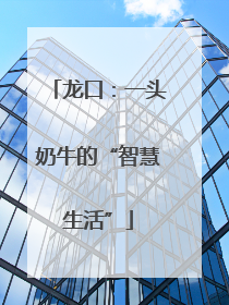 龙口：一头奶牛的“智慧生活”
