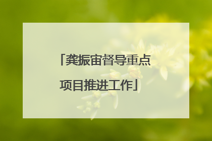 龚振宙督导重点项目推进工作