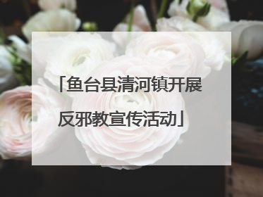 鱼台县清河镇开展反邪教宣传活动