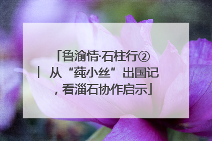 鲁渝情·石柱行② ︳从“莼小丝”出国记，看淄石协作启示