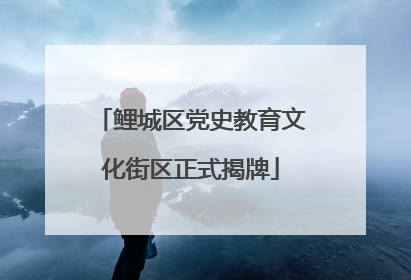 鲤城区党史教育文化街区正式揭牌