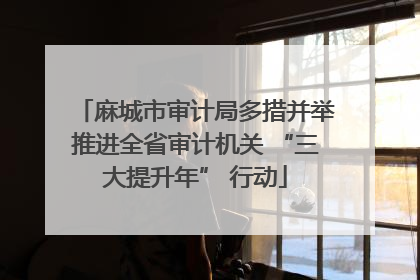 麻城市审计局多措并举推进全省审计机关 “三大提升年” 行动