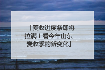 麦收进度条即将拉满！看今年山东麦收季的新变化