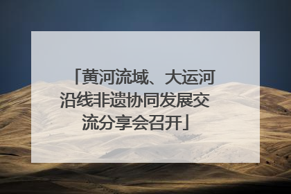 黄河流域、大运河沿线非遗协同发展交流分享会召开