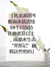 黄龙溪国考断面水质连续59个月保持在Ⅲ类及以上，成都水生态“变形记”藏着这些密码