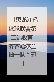 黑龙江省冰球联赛第二站收官 齐齐哈尔兰迪一队夺冠