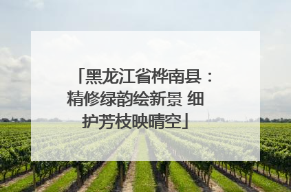 黑龙江省桦南县：精修绿韵绘新景 细护芳枝映晴空