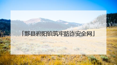 黟县碧阳镇筑牢防诈安全网
