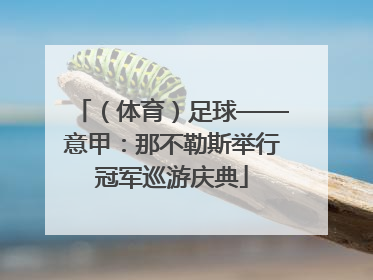 （体育）足球——意甲：那不勒斯举行冠军巡游庆典