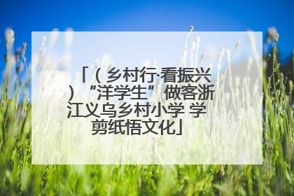 （乡村行·看振兴）“洋学生”做客浙江义乌乡村小学 学剪纸悟文化
