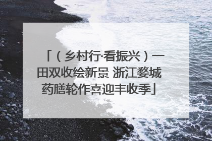 （乡村行·看振兴）一田双收绘新景 浙江婺城药膳轮作喜迎丰收季