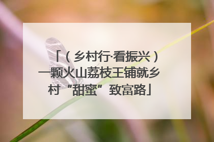 （乡村行·看振兴）一颗火山荔枝王铺就乡村“甜蜜”致富路