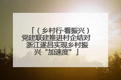 （乡村行·看振兴）党建联建推进村企结对 浙江遂昌实现乡村振兴“加速度”