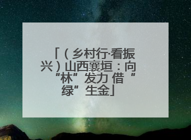 （乡村行·看振兴）山西襄垣：向“林”发力 借“绿”生金